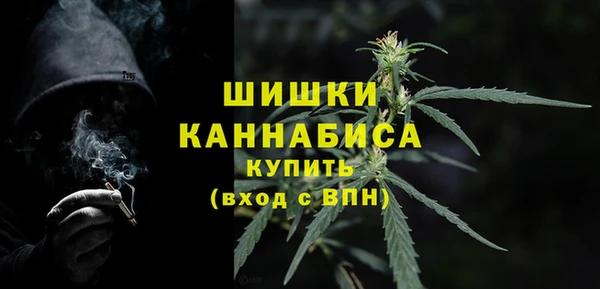 шишки Горно-Алтайск
