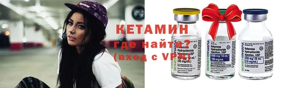 шишки Горно-Алтайск