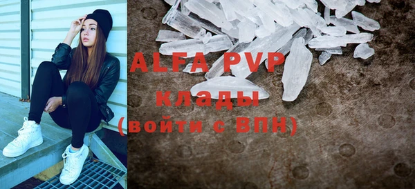 шишки Горно-Алтайск