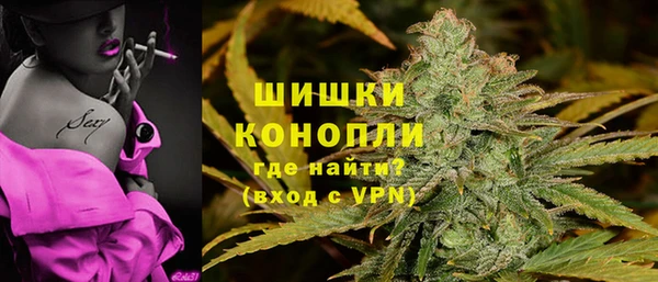 шишки Горно-Алтайск