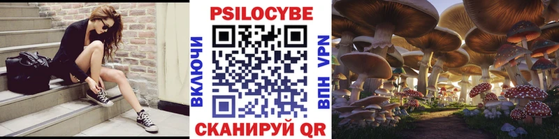 Галлюциногенные грибы Psilocybe  darknet наркотические препараты  Ермолино  где можно купить наркотик 